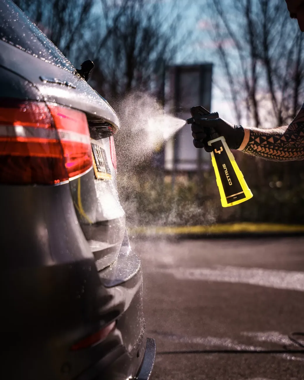 YUM Citrus - Image 4